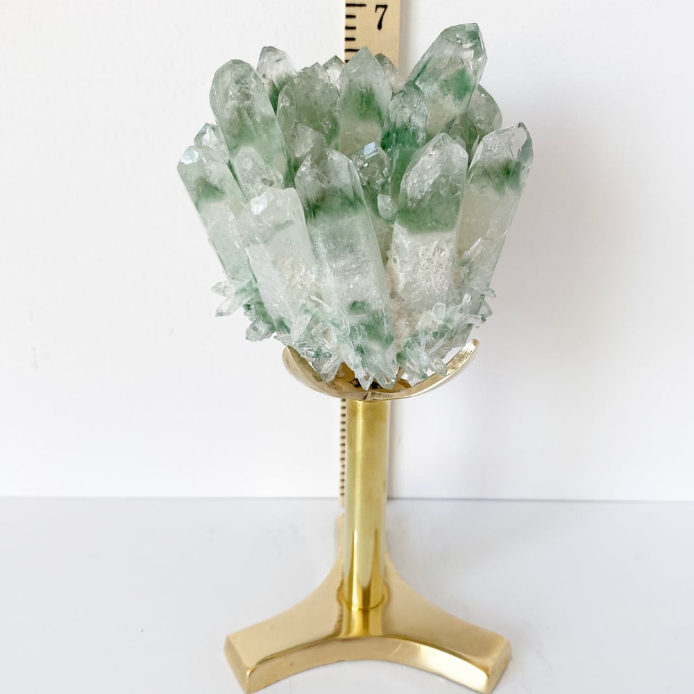 Image of Green Phantom Quartz Crystal Cluster no.45 + Brass Post Stand