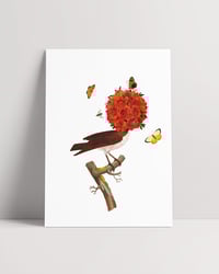 Image 1 of ENEMIGO Y GENEROSO