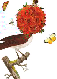 Image 2 of ENEMIGO Y GENEROSO