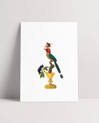 Image 2 of EL TESTIGO 