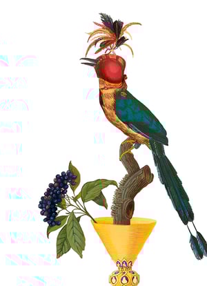 EL TESTIGO 