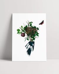 Image 2 of JARDÍN O SUPLICIO