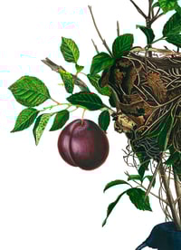 Image 1 of JARDÍN O SUPLICIO