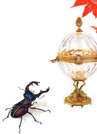 Image 1 of DESEO O NECESIDAD