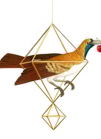 Image 2 of ESPERA...TU DESTINO