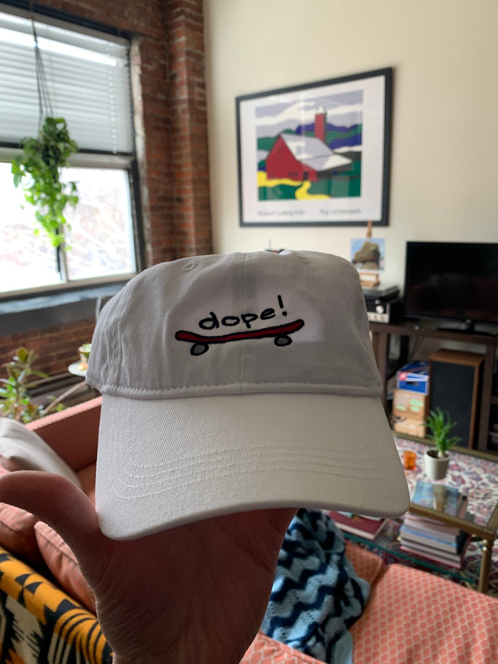 Image of Dope Skateboard Hat