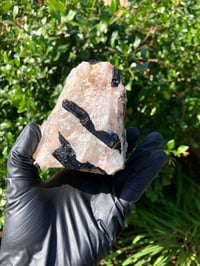 Image 4 of BLACK TOURMALINE IN QUARTZ- 2.5 LBS . BRAZIL 