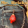 Learnig How To Play - Mr BRICKS (CD)