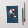 Postcard: Toucan
