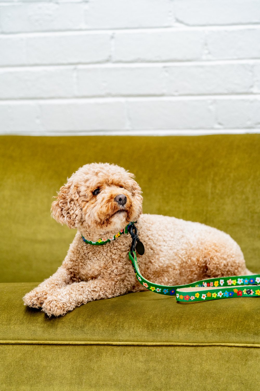 'Jade's Bouquet' Leather Lead