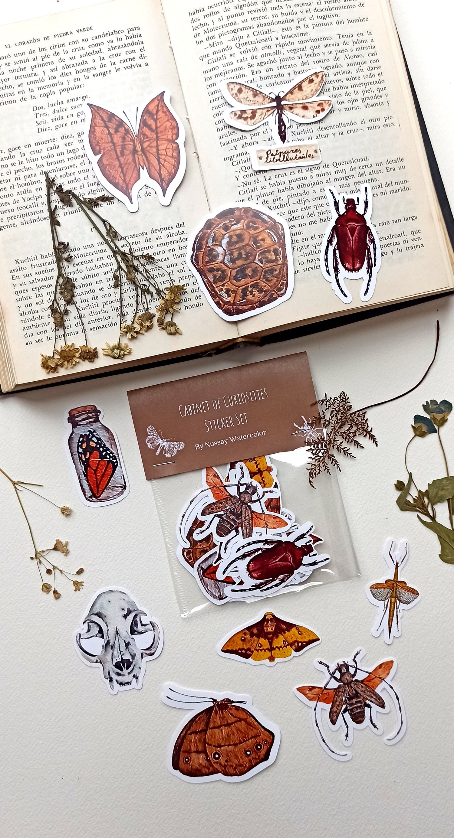 Image of Oddities and Bugs Stickers 