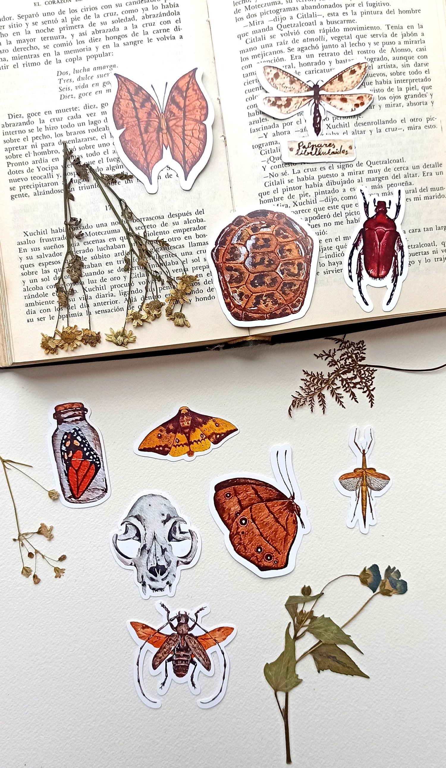 Image of Oddities and Bugs Stickers 
