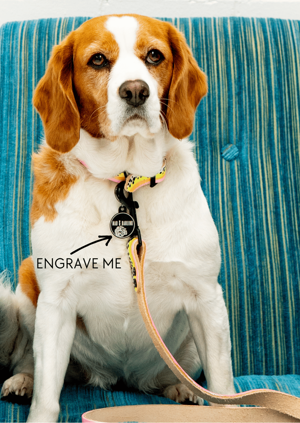 Dog Tag & 'Engrave Me' Option 