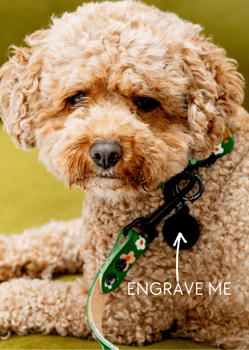 Dog Tag & 'Engrave Me' Option 