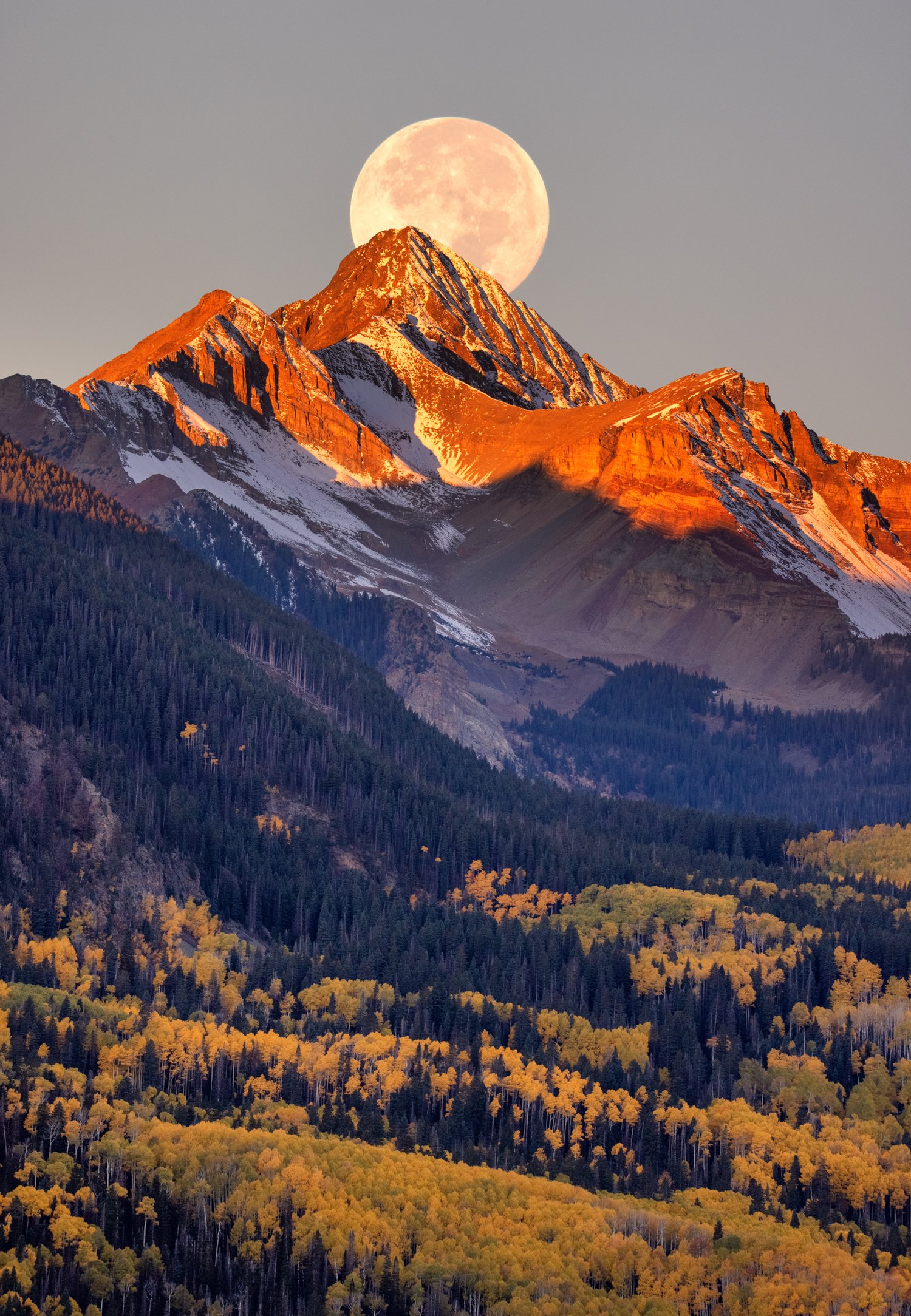 Image of Autumn Moon