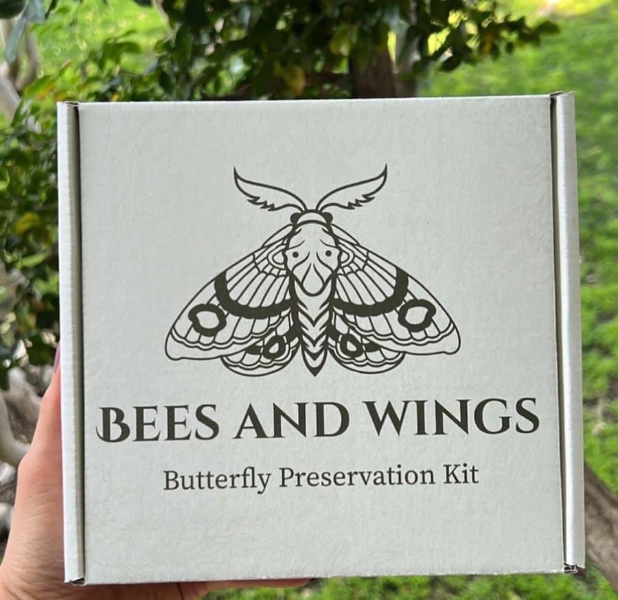 Image of DIY Butterfly Pinning Kit