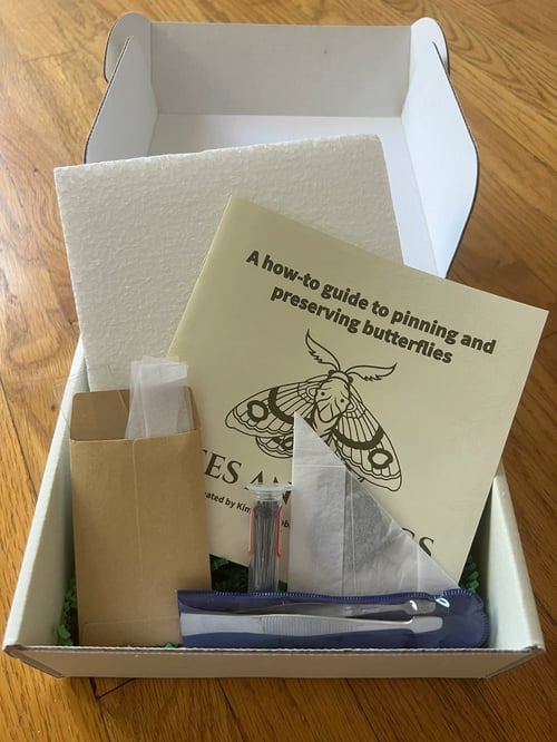 Image of DIY Butterfly Pinning Kit