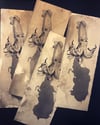 Serigraphie "poulpe"