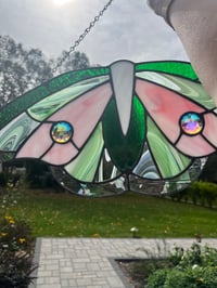 Image 5 of Pink & Green Moth/Butterfly