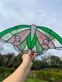 Image 1 of Pink & Green Moth/Butterfly