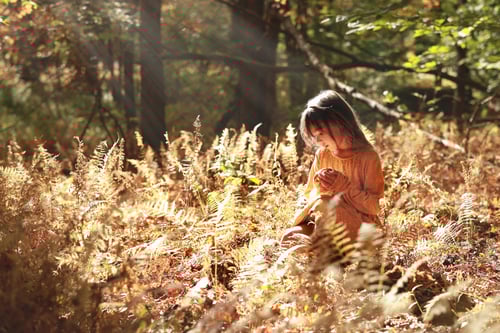 Image of Family Session - Outdoor/Studio