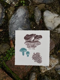 Image 1 of Mushrooms and Pinecone Square Print