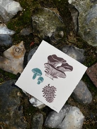 Image 2 of Mushrooms and Pinecone Square Print