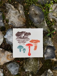 Mushrooms Square Print
