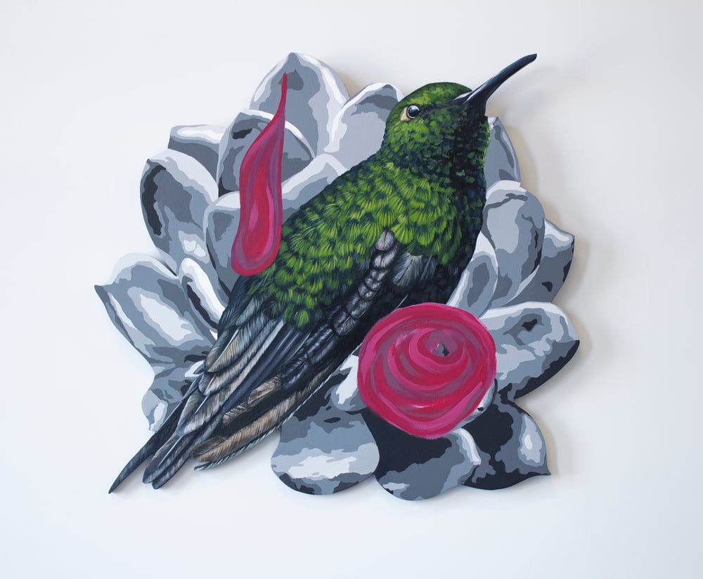 Image of Colibri