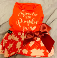 Fit warm Sweeter Thank Pumpkin Pie Dress