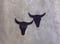 Image of Dark Brown Bull Heads