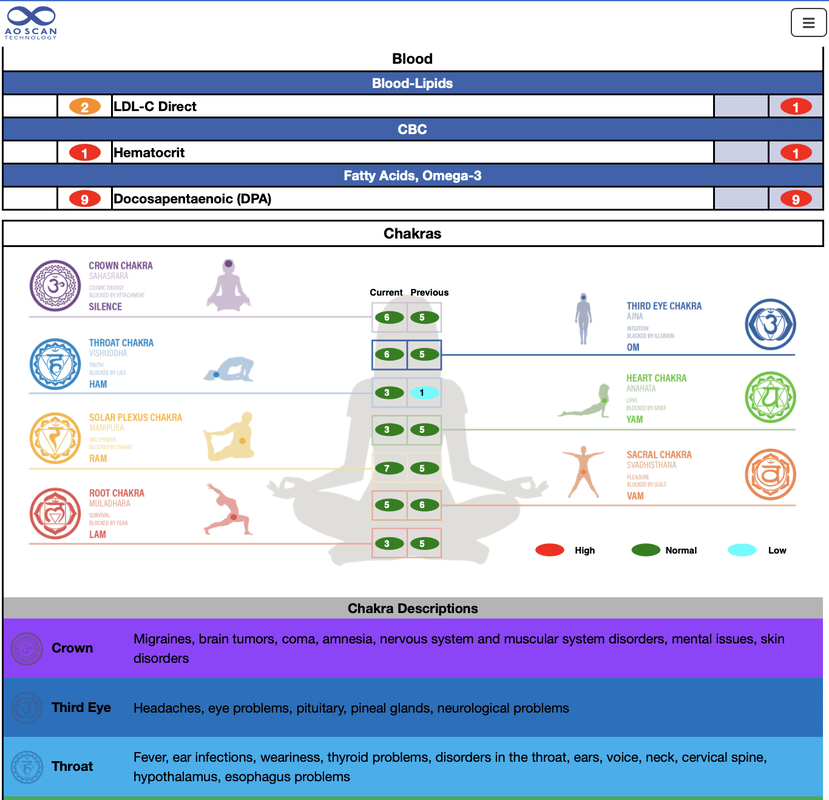 Image of Quantum Energy AO Scan 1~Full Initial Session Membership