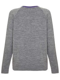 Image 2 of Daiglen School Jumper, Grey with purple trim