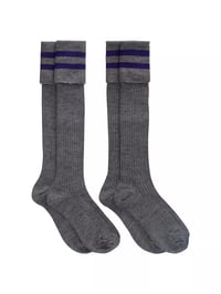 Daiglen School Knee Length Socks, (pack of 2) Grey/Purple