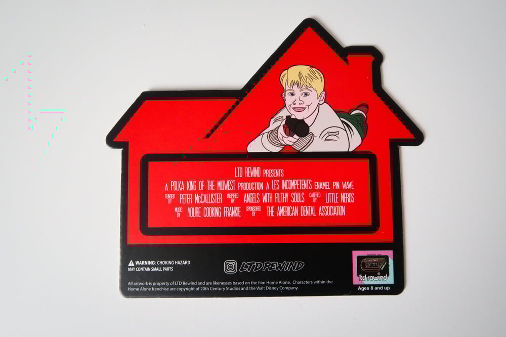 Cat Flap Double Pin Set