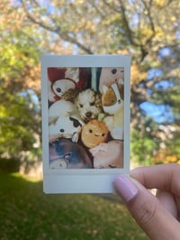 Image 1 of Original Custom Polaroid Photo Print