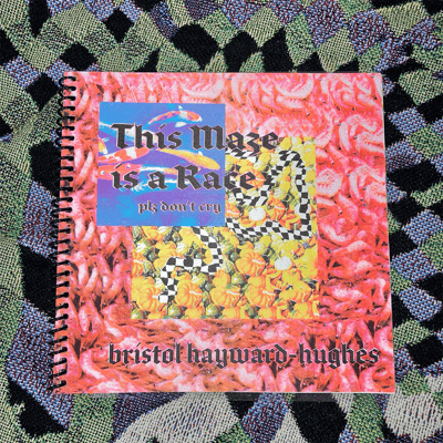 Image of ZINE: This Maze is a Race plz don't cry