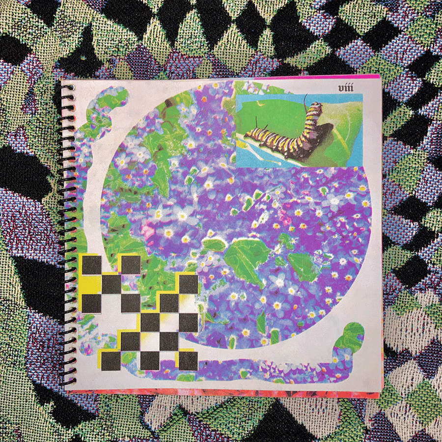 Image of ZINE: This Maze is a Race plz don't cry