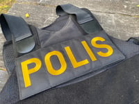 Image 1 of POLIS - Ryggplatta