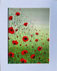 Image 3 of 'Poppy Meadow' Limited Edition Mounted Print