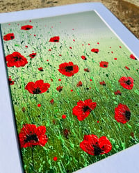 Image 4 of 'Poppy Meadow' Limited Edition Mounted Print