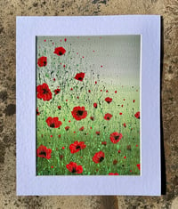 Image 1 of 'Poppy Meadow' Limited Edition Mounted Print