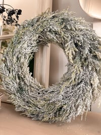 Image 1 of SALE! Frosted Fir Wreath