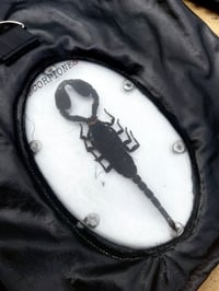 Image 2 of Scorpiones Oversized Shorts† 