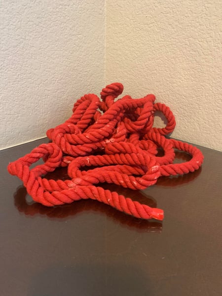 Image of EGN III: Screen Used Death Rope Prop