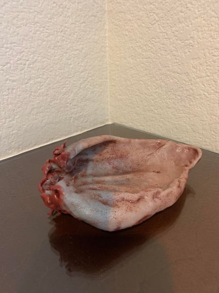 Image of EGN III: Screen Used Severed Pig Ear Prop #1