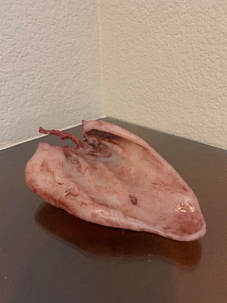 Image of EGN III: Screen Used Severed Pig Ear Prop #2