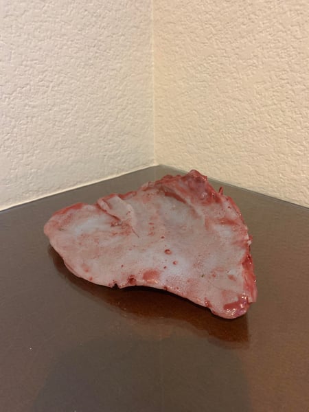 Image of EGN III: Screen Used Severed Pig Ear Prop #3