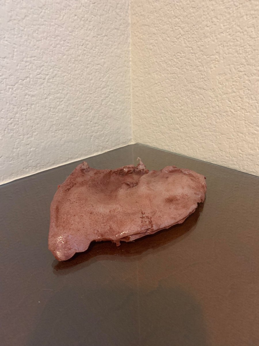 EGN III Screen Used Severed Pig Ear Prop 4 Putrid Productions