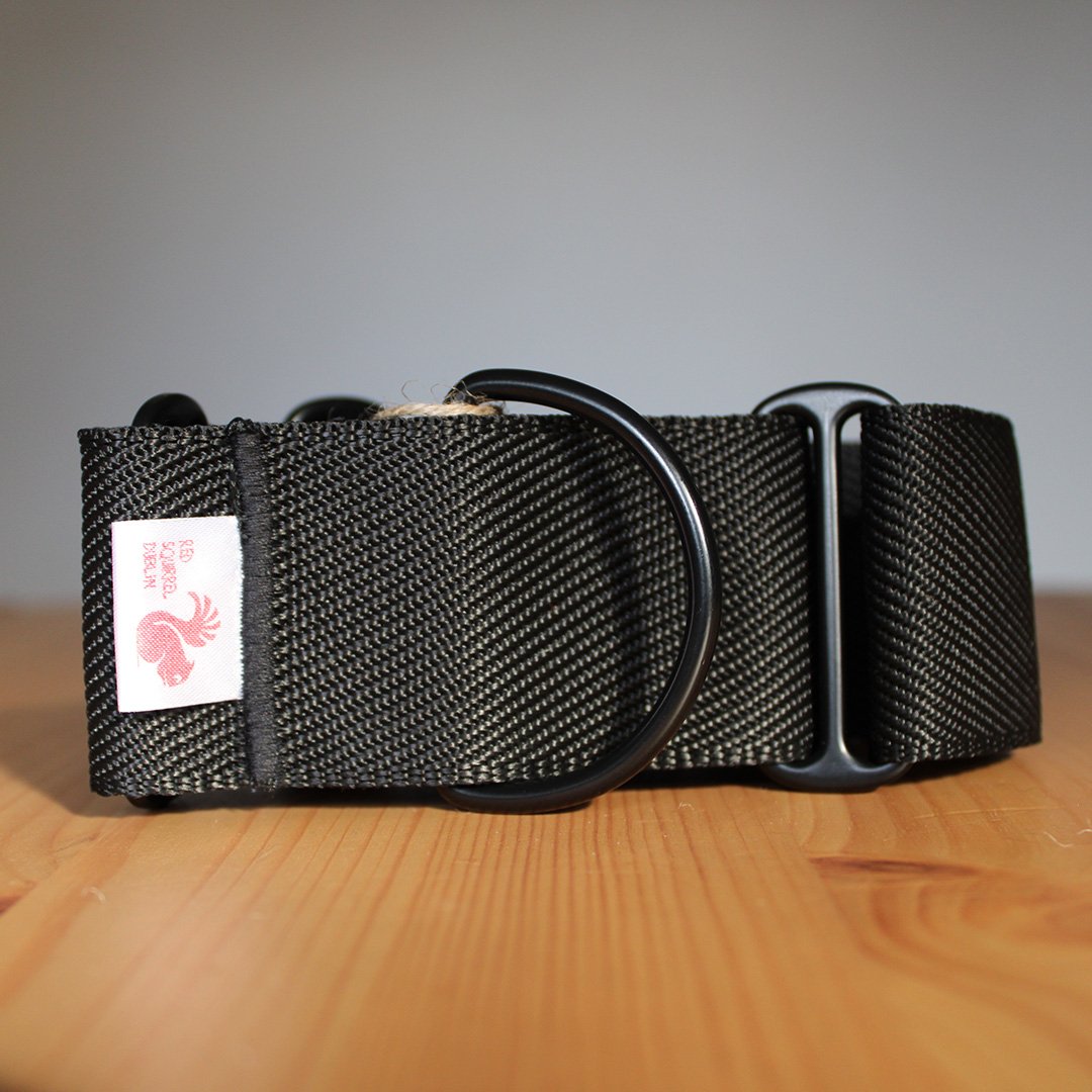 Image of All black 2 inch martingale collar